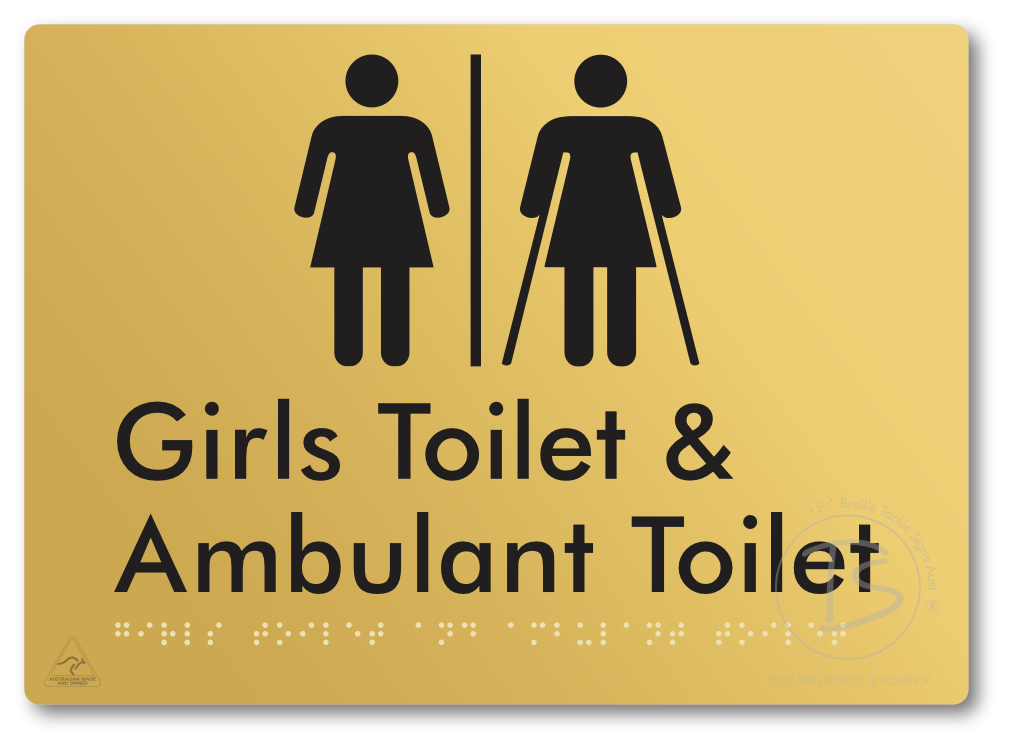 Girls Toilet & Ambulant Toilet with Airlock