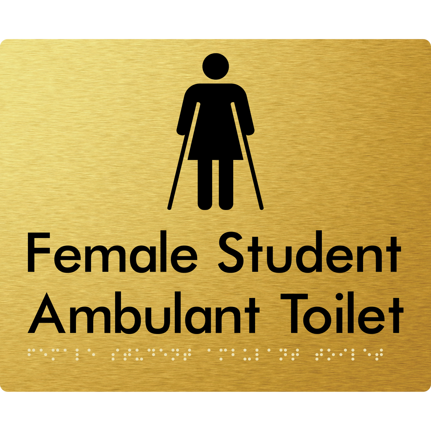 Female Student Ambulant Toilet