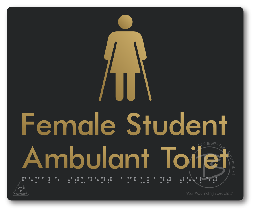 Female Student Ambulant Toilet