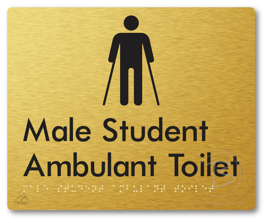 Male Student Ambulant Toilet