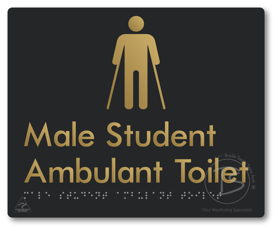 Male Student Ambulant Toilet