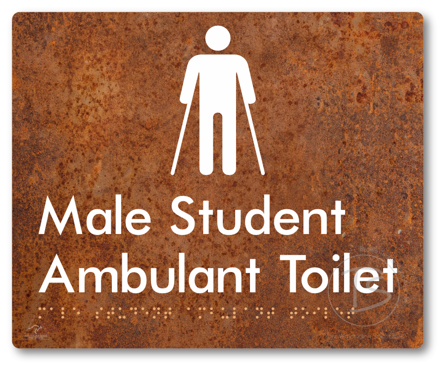 Male Student Ambulant Toilet