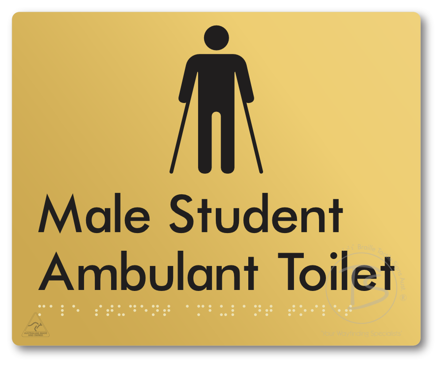 Male Student Ambulant Toilet