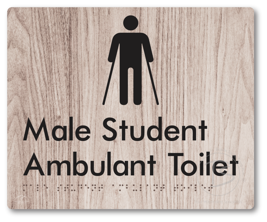 Male Student Ambulant Toilet