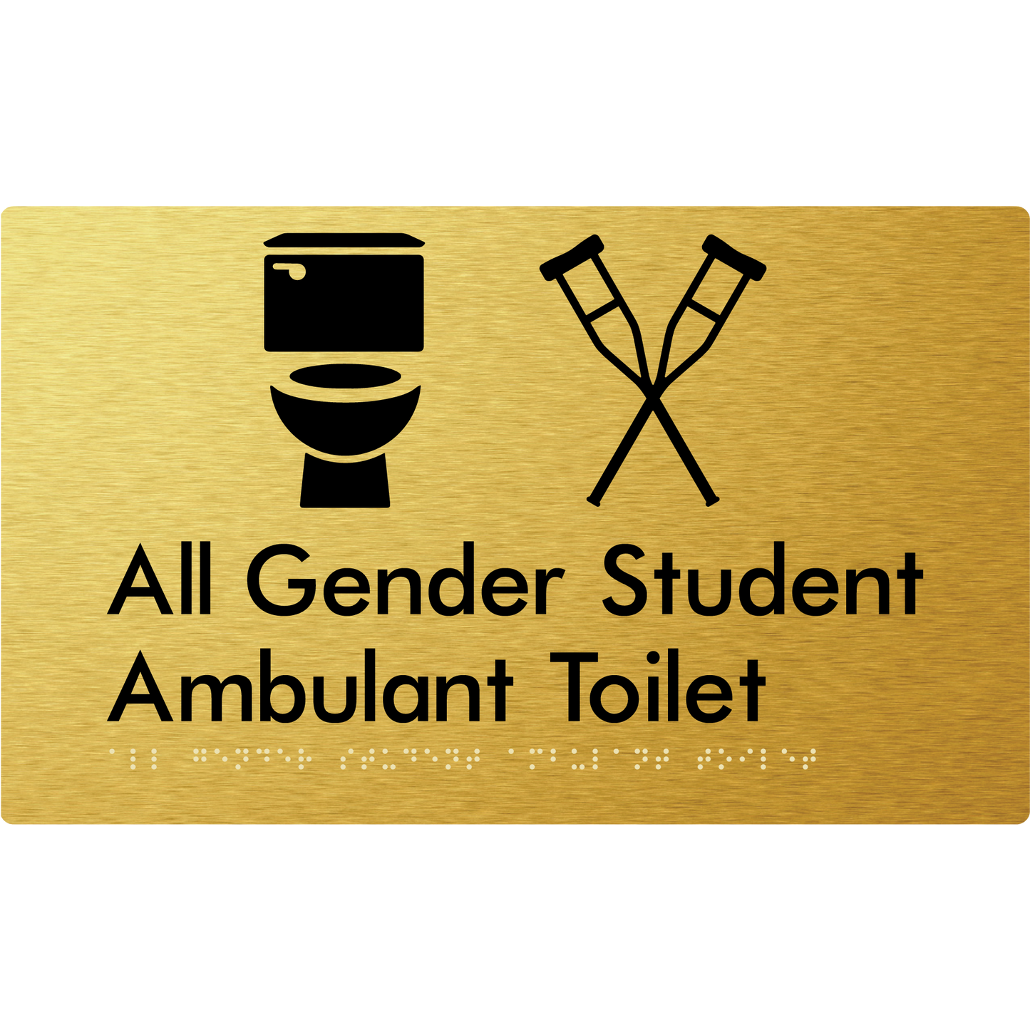 All Gender Student Ambulant Toilet
