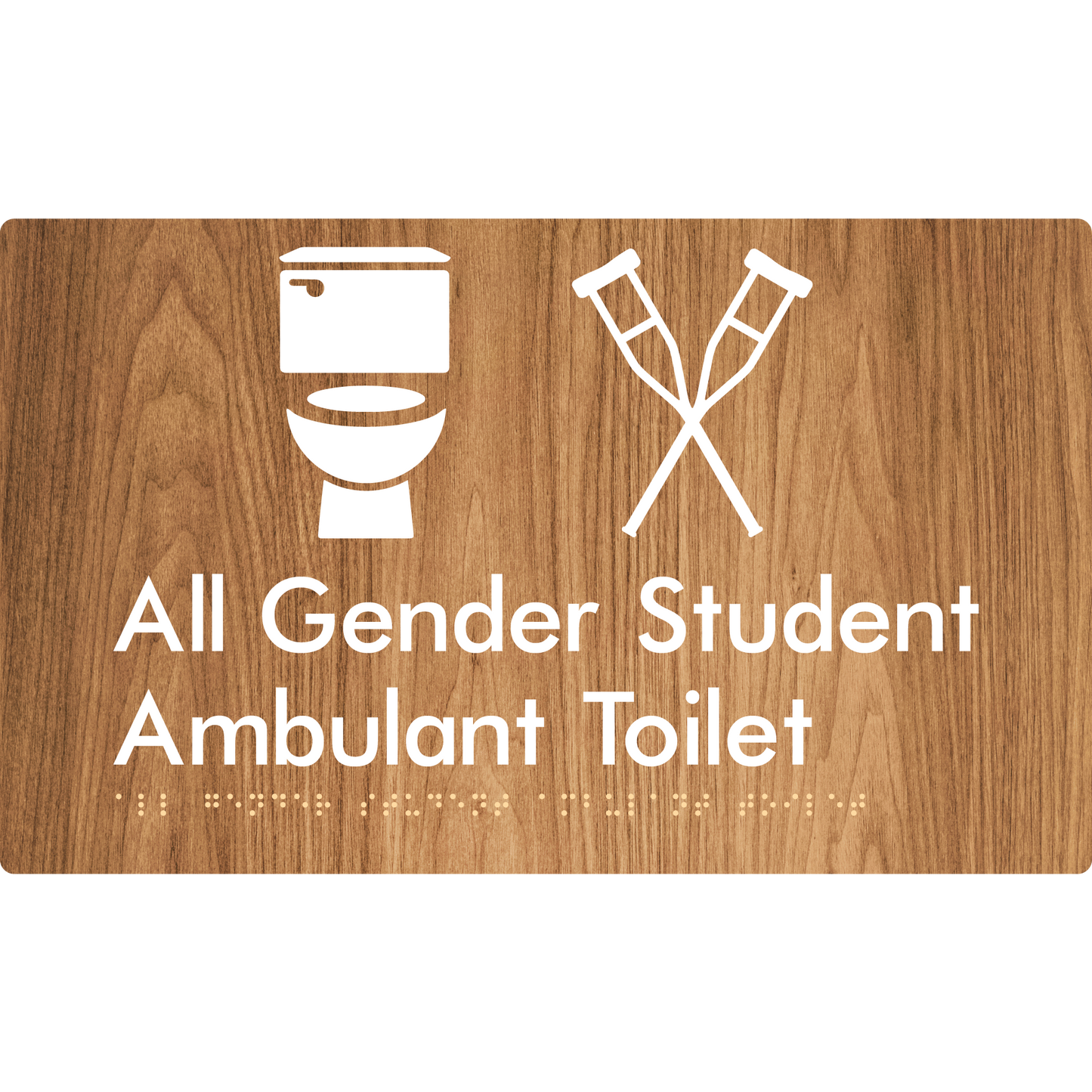 All Gender Student Ambulant Toilet