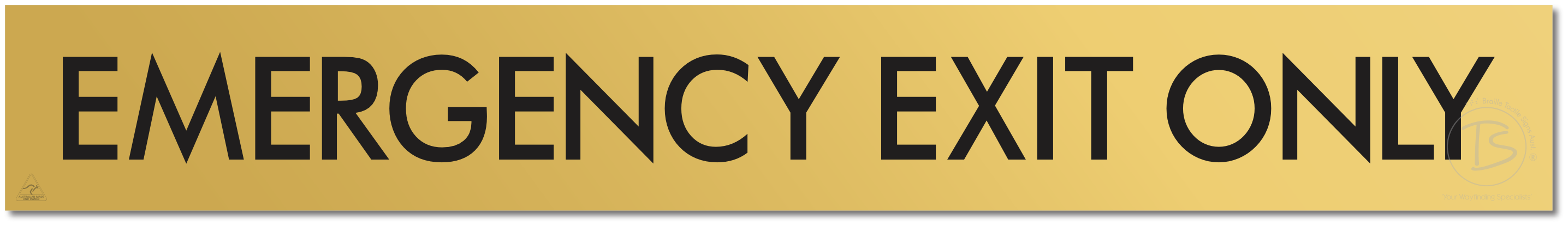 EMERGENCY EXIT ONLY