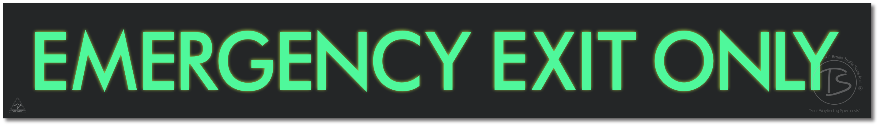 EMERGENCY EXIT ONLY