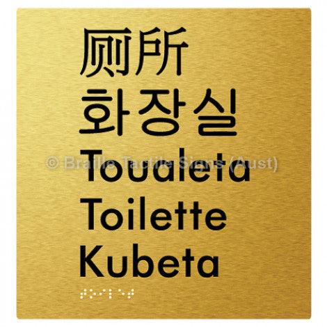 Braille Sign Toilet (Multiple Languages) - Braille Tactile Signs Aust. - BTS200-aliG - Custom Signs - Fast Shipping - High Quality - Australian Made &amp; Owned